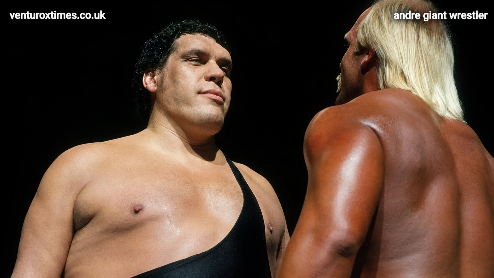 andre giant wrestler